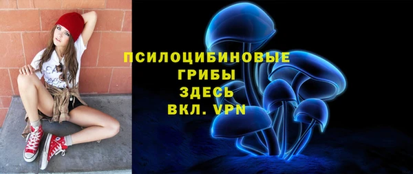 таблы Каменногорск