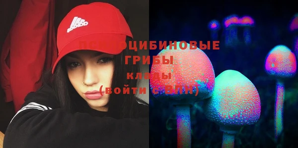 COCAINE Каменка